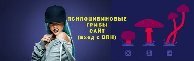 mdpv Гусь-Хрустальный