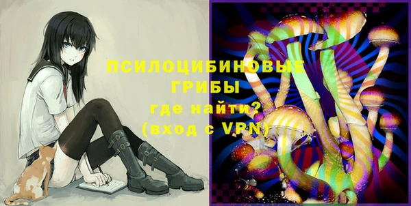 ALPHA-PVP Гусев