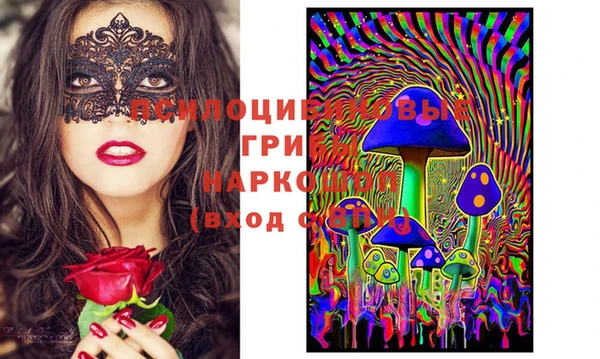 mdpv Гусь-Хрустальный