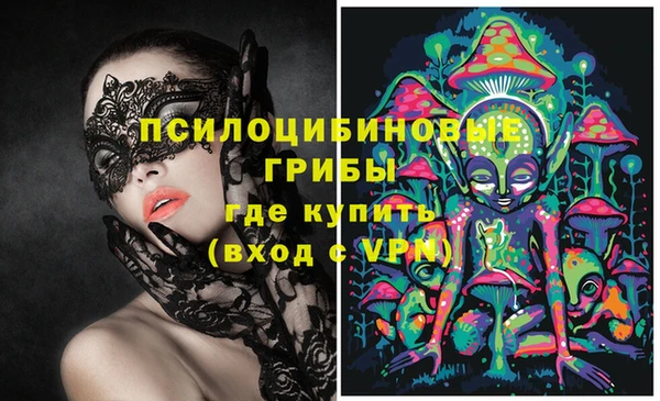 mdpv Гусь-Хрустальный