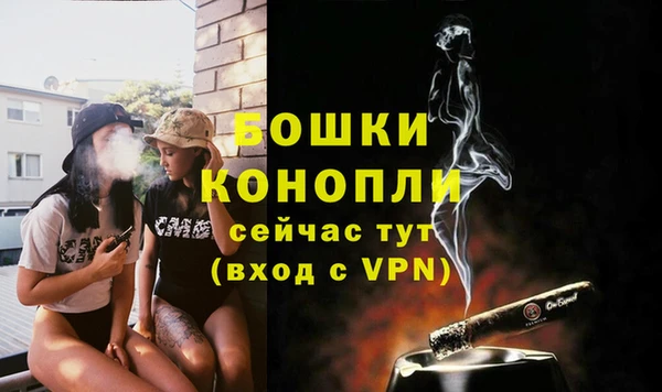 ALPHA-PVP Гусев