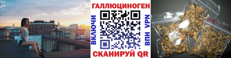 Галлюциногенные грибы мицелий  Купить закладки  Кремёнки 